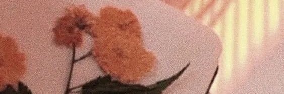 𝐀𝐧𝐝𝐫𝐢𝐚𝐧𝐚 𝐂𝐫𝐚𝐥𝐞𝐭𝐭𝐚 banner