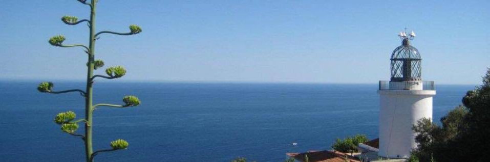 Ignasi Genovès🎗 banner