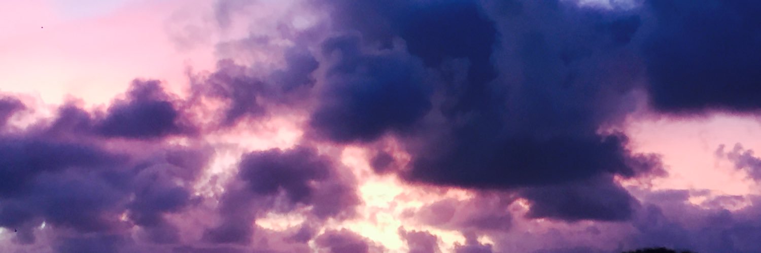 BarbiFreira's profile banner image