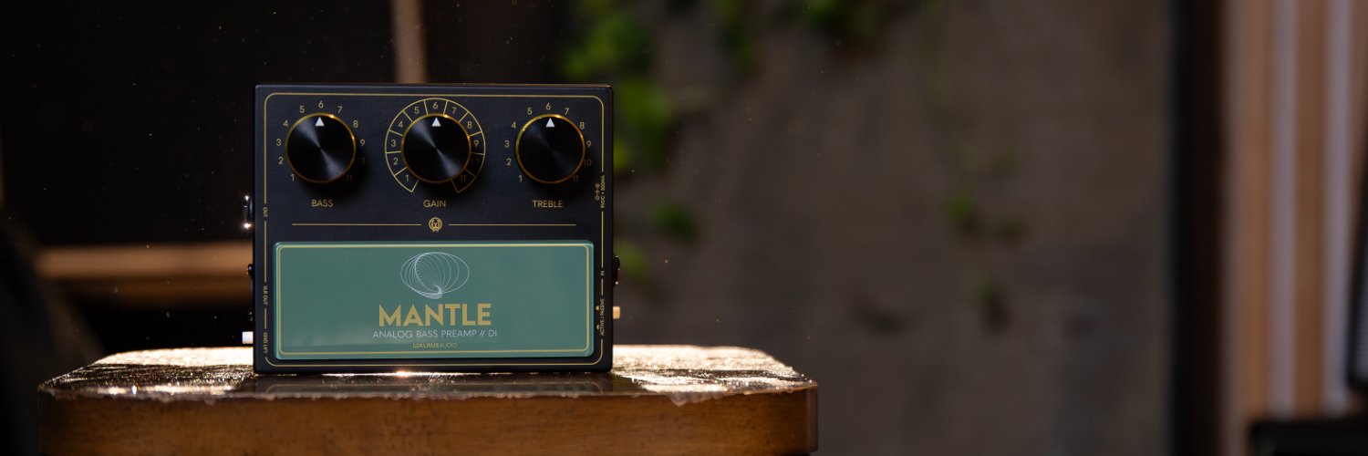 Walrus Audio JP banner