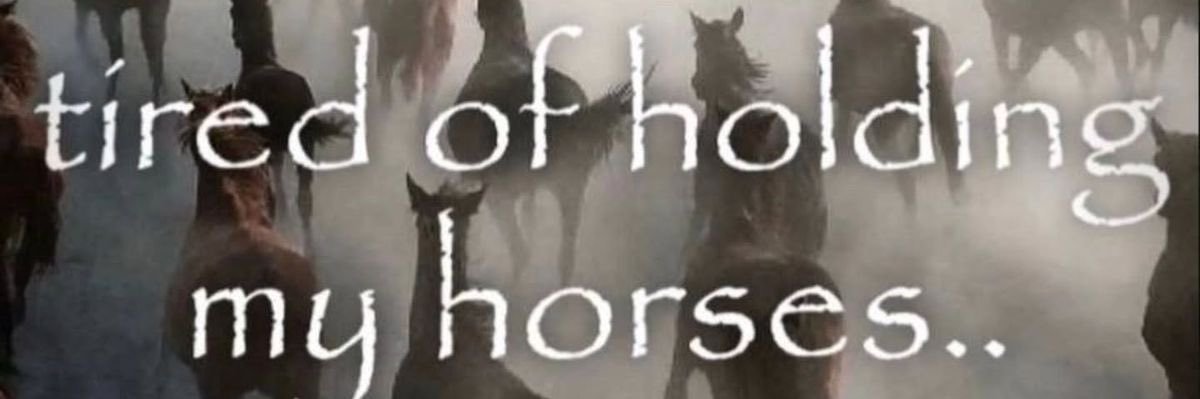 tiddystraphobi's profile banner image
