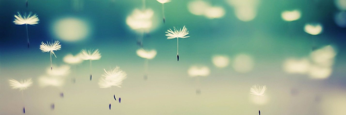 pezheadval's profile banner image
