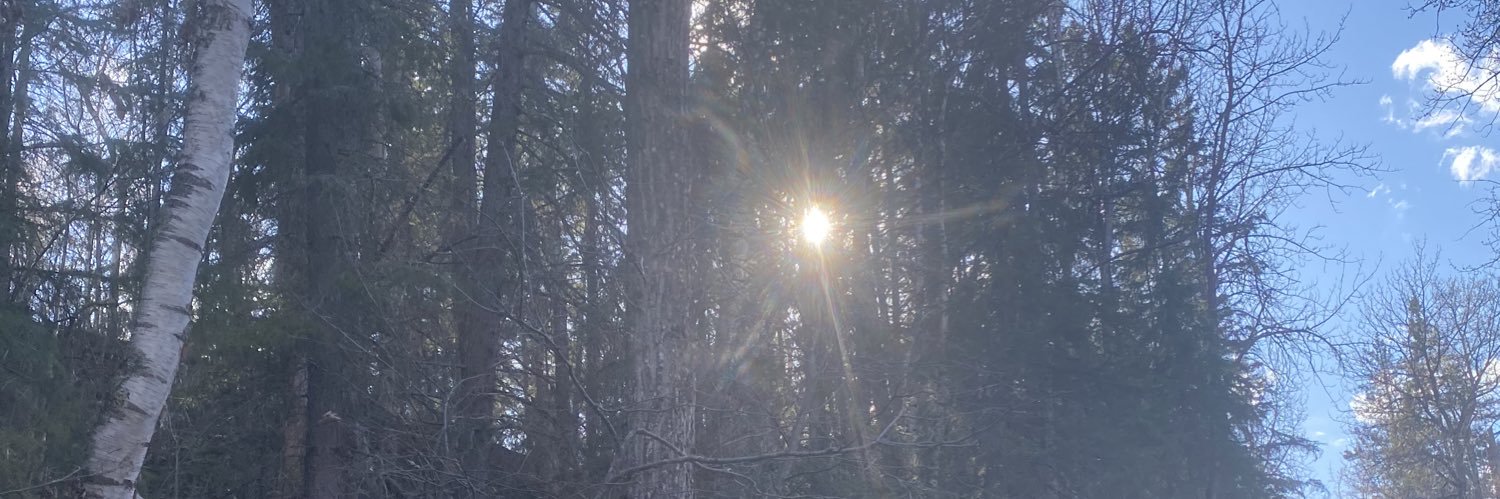 BlayneBurrows's profile banner image