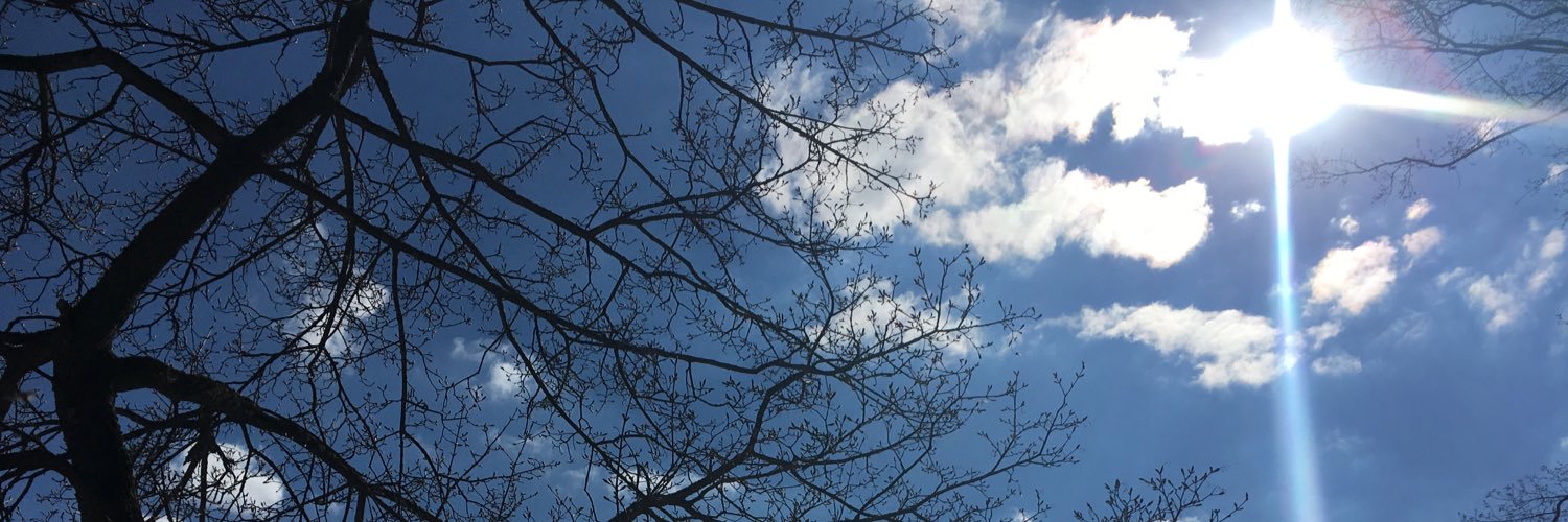 Hansueli Gujer banner