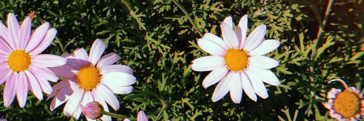 aafhector's profile banner image