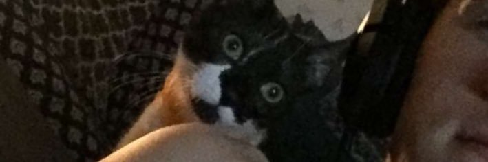 mrrrisaa's profile banner image