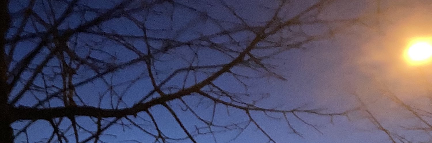 kumipaeae's profile banner image