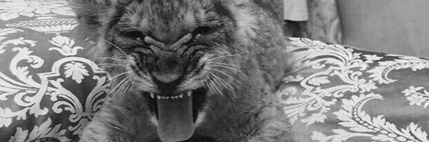 _biibi7's profile banner image