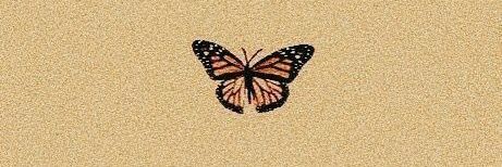 Grecia Carollathe Zeleferxd Daisy banner