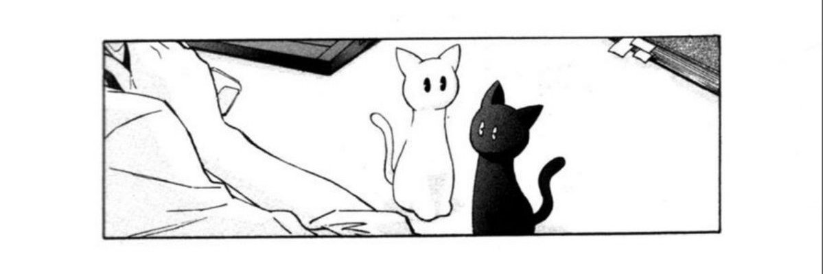 𝑷𝒆𝒂𝒓𝒍 banner