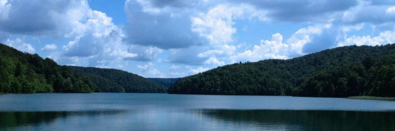 Catalina G. Decker banner