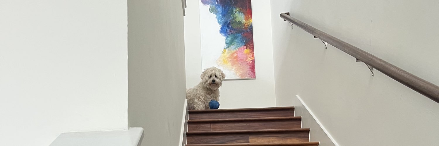 HebrewGarfunkel's profile banner image