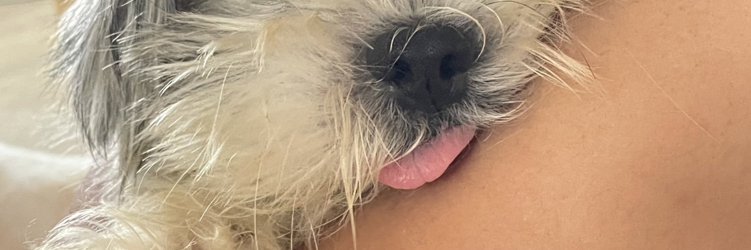 cecilleeAV's profile banner image