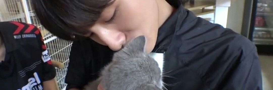winwinmeows's profile banner image
