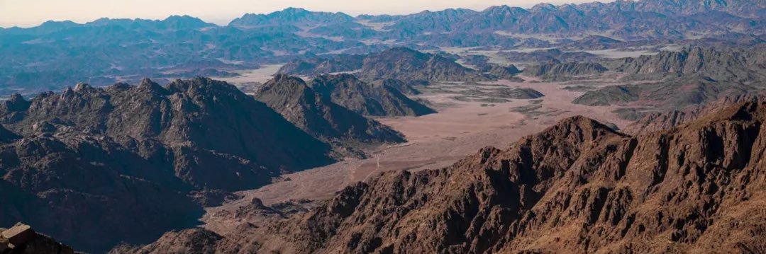 Mohammed. M Alsuhaimi banner