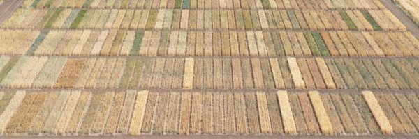 rubenvicper Profile Banner