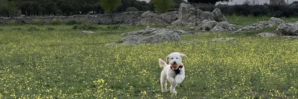 macarenalldt Profile Banner