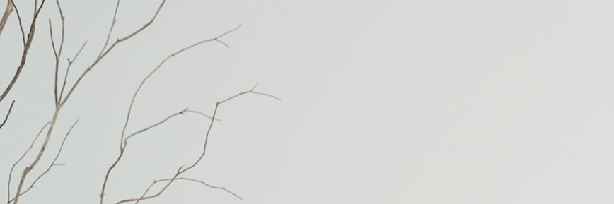 ⭐️ banner