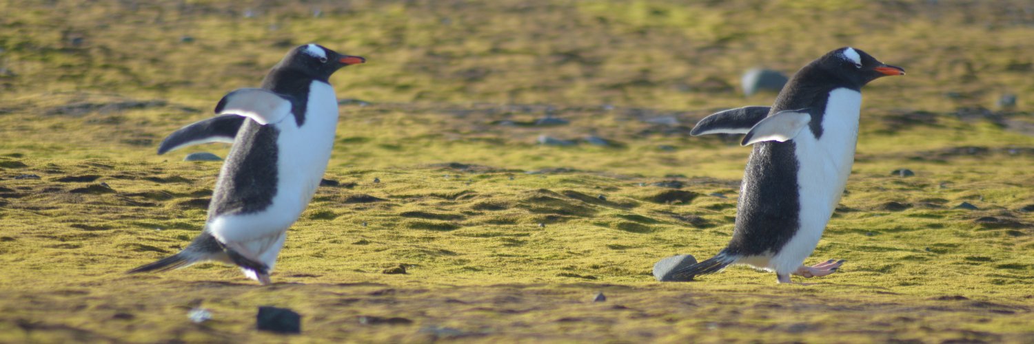 Dr Chris Stringer 🏔️ banner