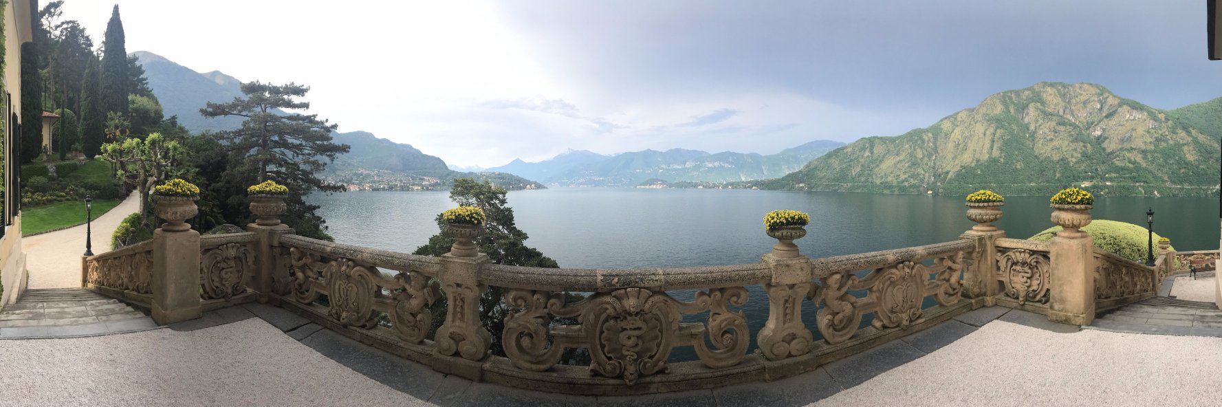 Ryan Hansen 🦏 banner