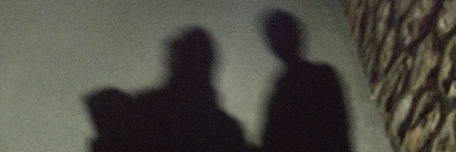 13590010wer's profile banner image
