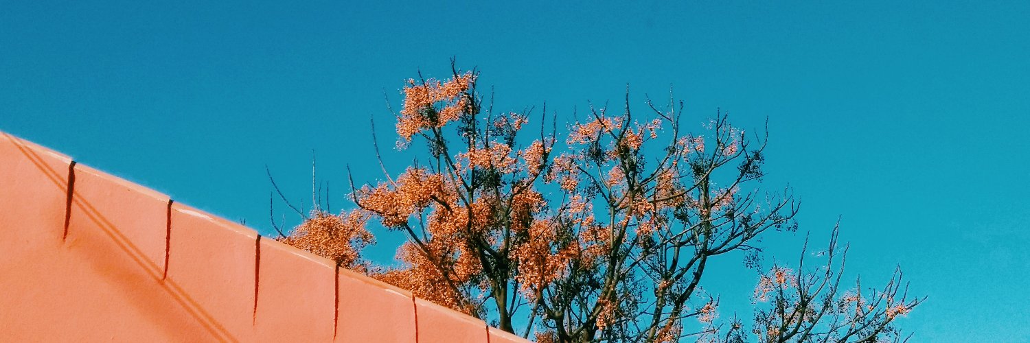mahreenuh's profile banner image