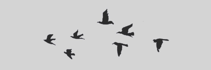 gege banner