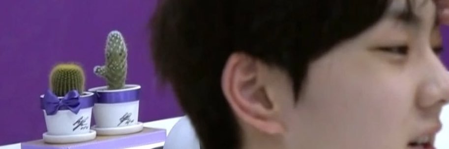 ^. ̫ .^︎ banner