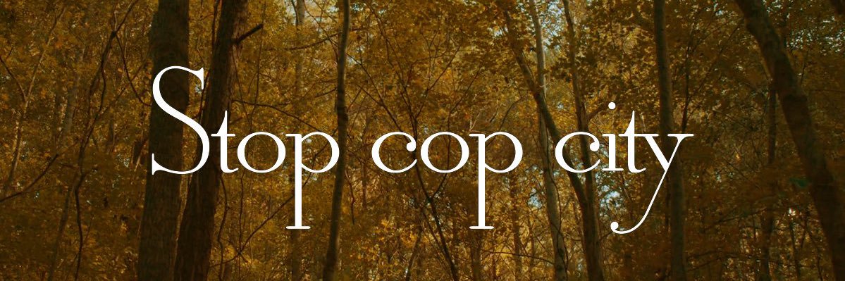 i ❤️ a FREE Palestine (she/her) banner