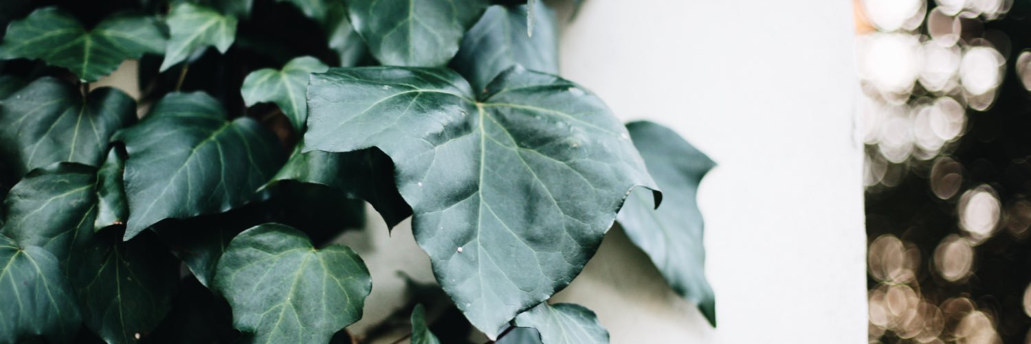 youngsocialco's profile banner image
