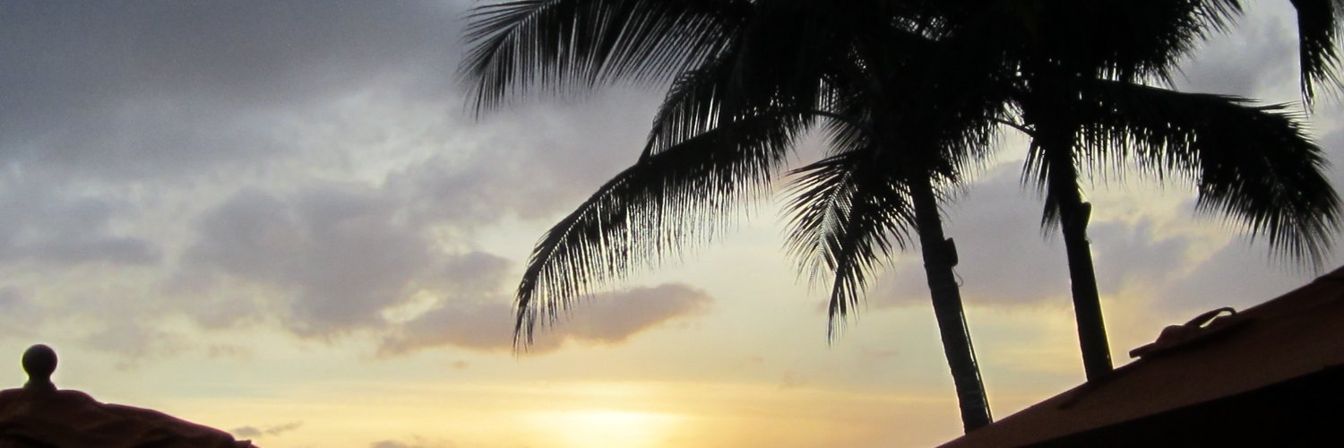 rhondanave's profile banner image