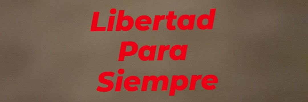 Veni Vidi Vici banner