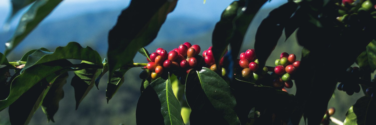 National Coffee Association's banner