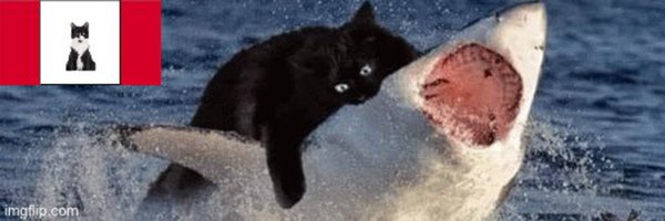 llandoniffirg Profile Banner