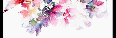 claku8's profile banner image