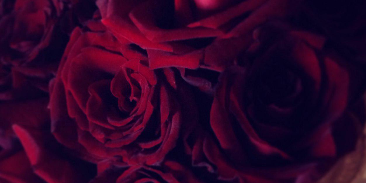 Ghadeer___OTB's profile banner image