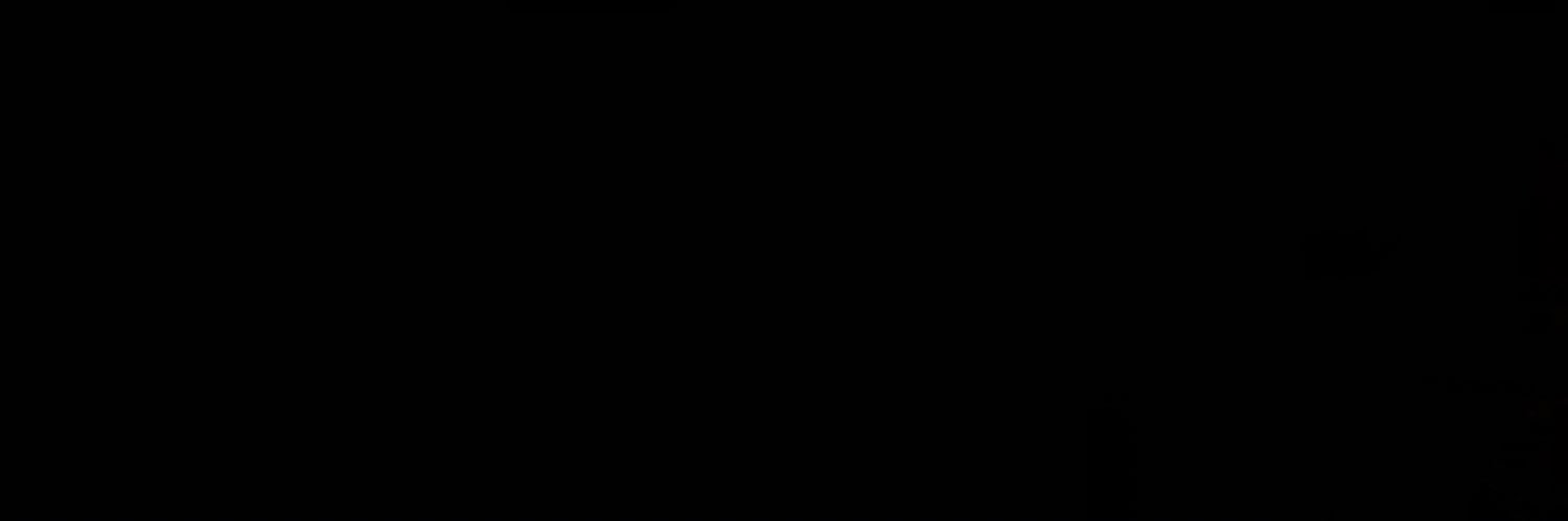 T.Davis banner