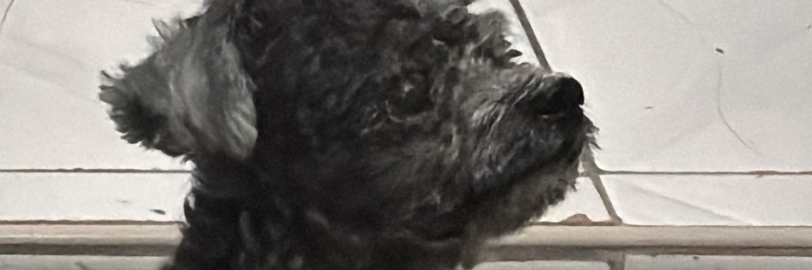 ke0pi_4's profile banner image