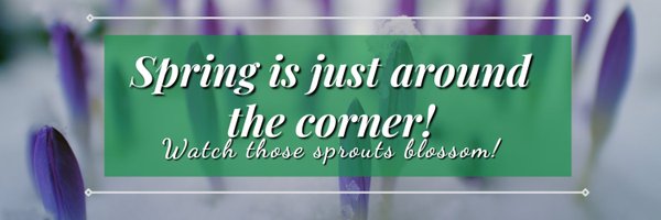 WishingWellOut Profile Banner