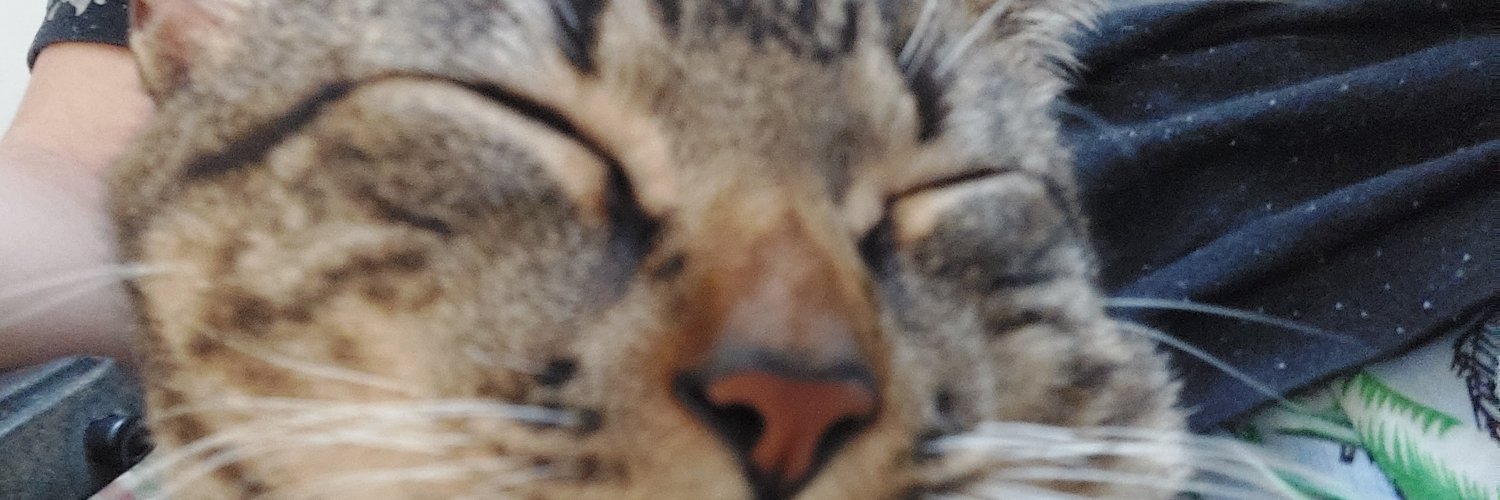 Glacesz's profile banner image