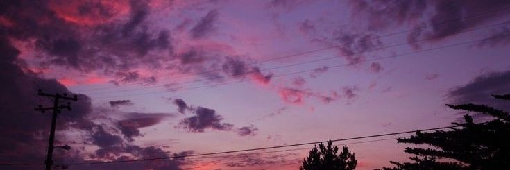 its_not_emilye's profile banner image