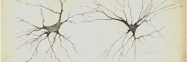 Roswitamind Profile Banner