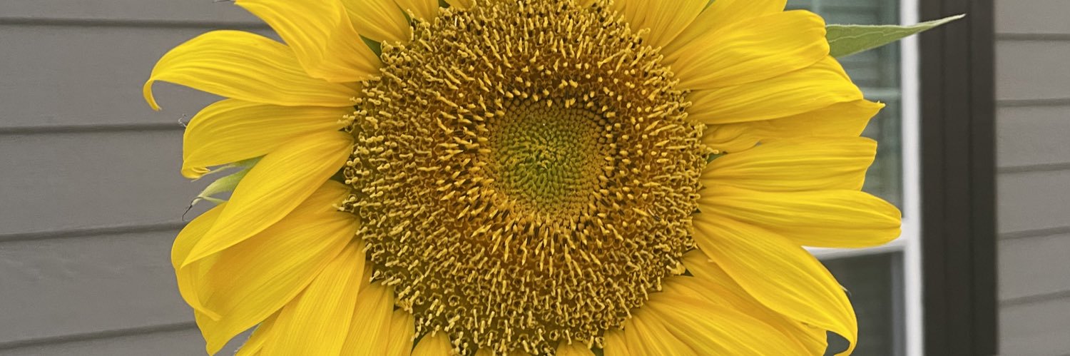 cayortego's profile banner image