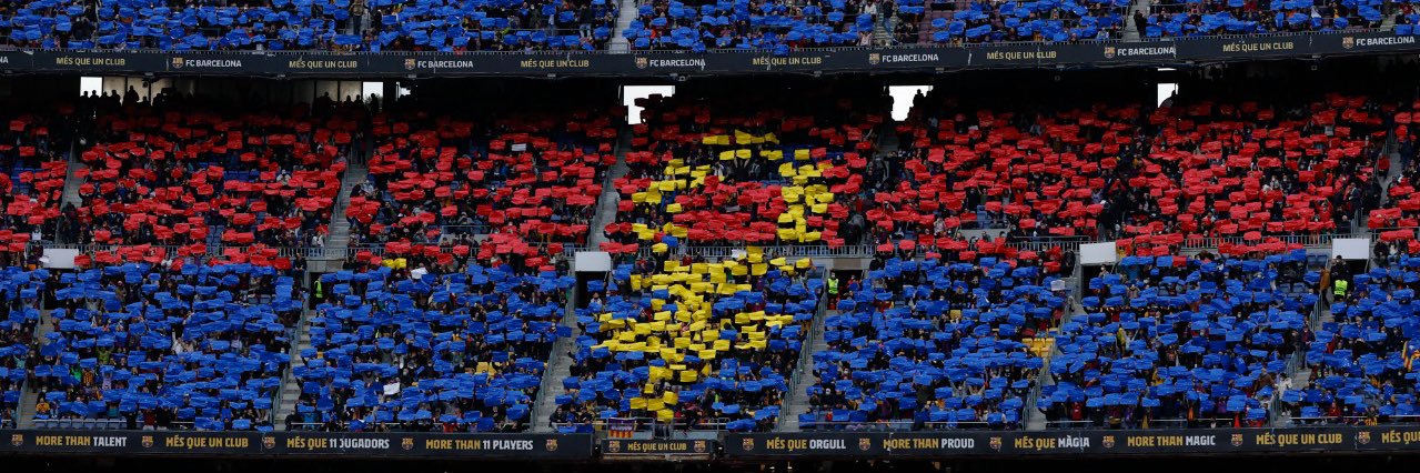 Sofía Moreno banner