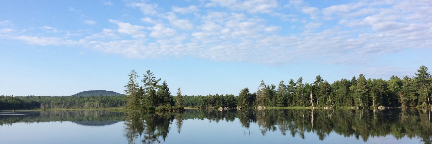 Alex Silver @alexsilverlevy.bsky.social banner