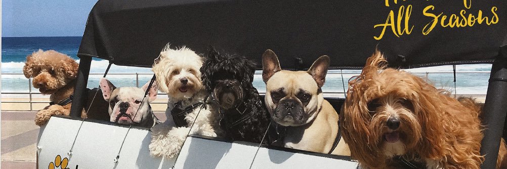pack_paws's profile banner image