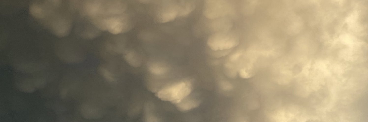 rjlalis's profile banner image