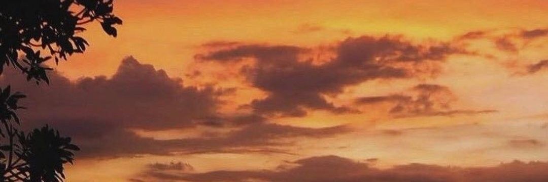 danibertoldi's profile banner image
