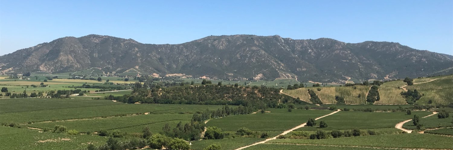 GeorgeBuneder's profile banner image