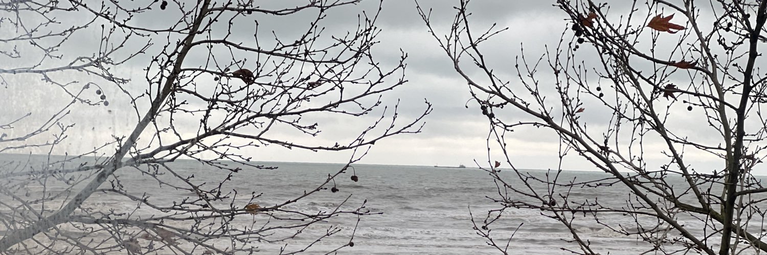 فرنچ🇮🇷 banner